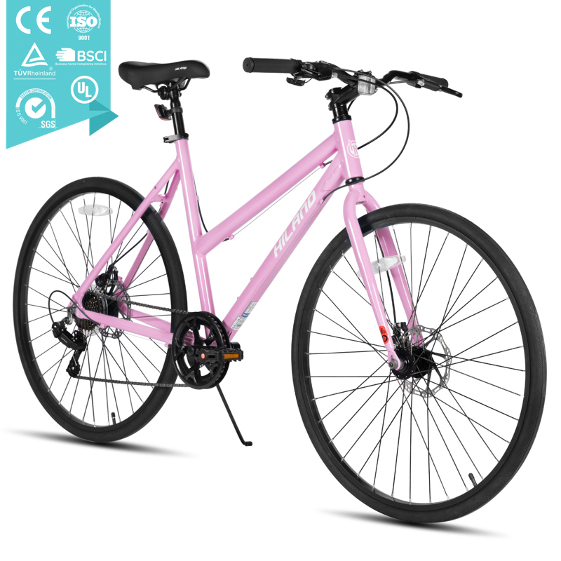 2025 Best Commuter Bike Electric City Ride with 800W Motor
