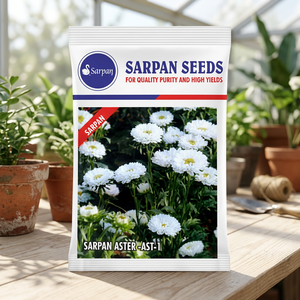 SARPAN HYBRID ASTER-AST-1 เมล็ดดอกไม้ 10 กรัม สีขาว อินเดีย - Product Image 4