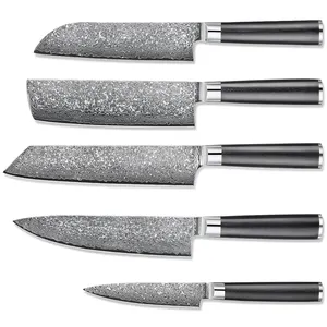 High Carbon Damaskus messer für Gemüse fleisch Japanisches Damast stahl messerset mit G10 Griff