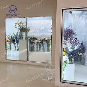 Tùy Chỉnh Cửa Kính Phòng Lạnh Hoa Cửa Sổ Tủ Lạnh Đi Bộ Trong Mát Cho Hiển Thị Và Lưu Trữ - Product Image 5