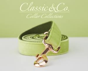 Collar y Correa Personalizados para Perro Avocado Vee con Diseño de Flor y Lazo, Placa con Nombre Grabada en Oro, Accesorio Unisex para Cachorros de Boda - Product Image 5