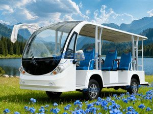 Autobús Turístico de Lujo para 8 Personas, Modelo 2026, para Recorridos Urbanos y por Carretera, Autobús de Carga Eléctrico Moderno con Diseño de Camuflaje en Venta - Product Image 3