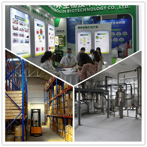 הסיטונאי קריאטין אבקת בתפזורת קריאטין - Product Image 5