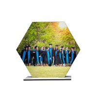 Plaque Photo hexagonale vierge imprimable de 8/10 pouces, Design personnalisé, panneau de bureau pour médias sociaux, Sublimation