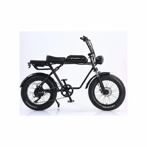 Tricycle électrique de haute qualité à bas prix, vitesse unique, 48V 600W, acier à haute teneur en carbone, en stock - Product Image 1