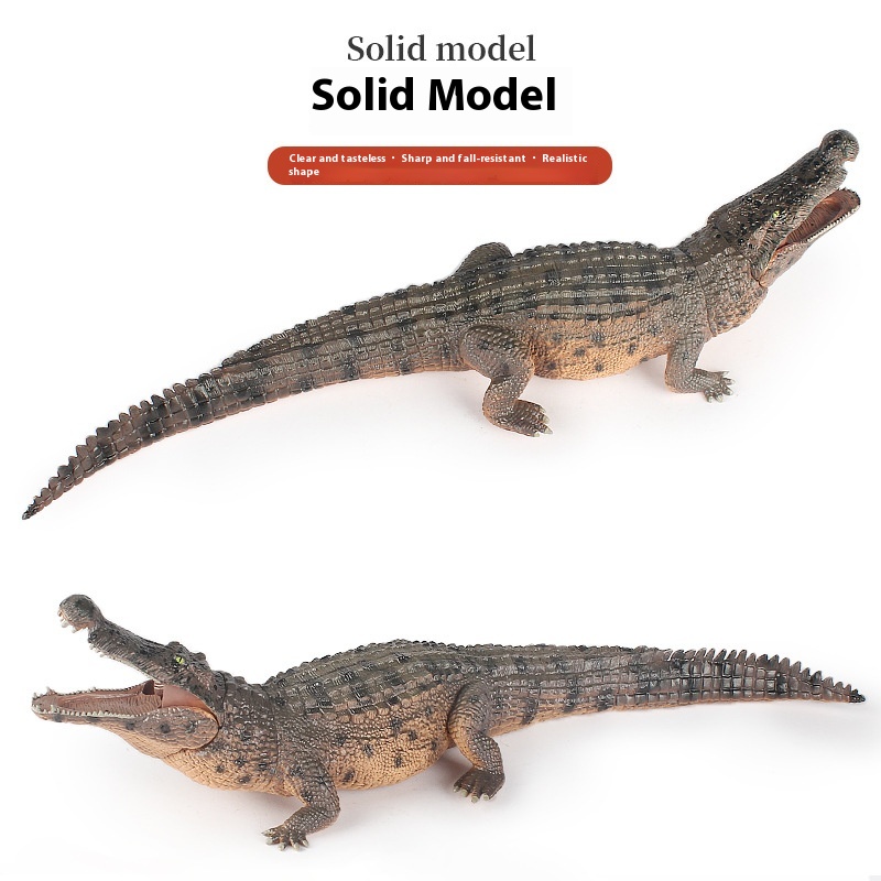 Kongou 12 Figuras De Animales Prehistóricos Y Humanos Primitivos – Modelos Realistas Educativos Para Niños Y Adultos, Ideales Para Decoración Y Regalos