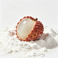 Groothandel Bulk Wateroplosbaar Lychee Fruitpoeder, Lychee/Litchi Sappoeder Vriesgedroogd Fruitpoeder