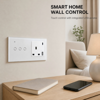 Interruptor de Pared Inteligente WiFi Estándar del Reino Unido Serie 146 y Enchufe Combinado con Panel de Vidrio Templado Compatible con Alexa y Google Assistant