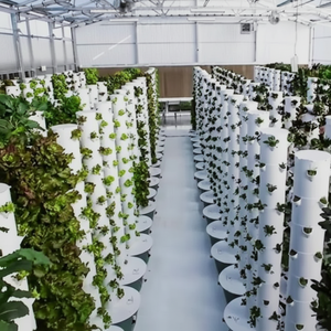 Large Indoor Vertical Hydroponic Garden Kit LED Grow <b>Light</b> Automatic Work Efficient Water Circulation Commercial Hydroponic - Product Image 1