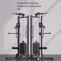 Appareil de musculation Flying Bird Trainer en métal pour tirage vertical, exercices de musculation du dos, usage en club, pliable et durable