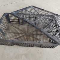 La caisse d'ormeau du marché des fruits de mer/panier en plastique d'ormeau avec taille personnalisable