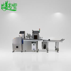 Machine de marquage laser UV à alimentation automatique haute vitesse et positionnement par vision pour la date de production sur les sacs - Product Image 1