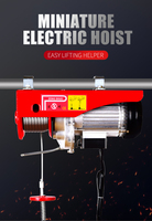 Harga Pabrik Pulley Hoist Listrik Ukuran Kecil 50kg pa, Hoist Listrik untuk Dijual
