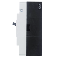 MUTAI Mini disjoncteur différentiel à usage domestique Disjoncteur électrique MCCB 160a