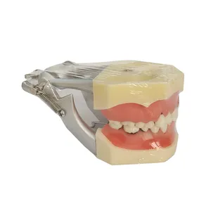 Appareil dentaire portable, modèle pour nettoyer le tartre gingibasses, la déformation et les détartrage
