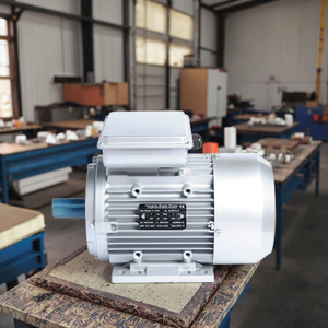 Motores de Inducción de CA Monofásicos Serie YL HM HML 90S-4 de 0.5hp a 10hp, 220v, 1400rpm, 50Hz/60Hz, Eficiencia IE1, Montaje en Pedestal - Product Image 3