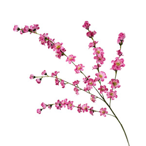 Usine de fleurs artificielles Meiyu Craft, orchidées à cinq branches en soie, décorations de mariage, accessoires pour la maison, plusieurs couleurs - Product Image 5