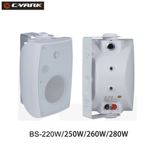 BS-250W thụ động 2 chiều nhựa trong tường loa 8ohm cho ngoài trời phát sóng công cộng các cuộc họp công cộng siêu thị mua sắm - Product Image 5