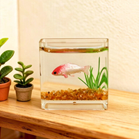 Mini aquarium en verre personnalisé, accessoire pour maison de poupée, décor de scène d'aquarium simulé avec poissons koï, modèle de micro-paysage de bureau