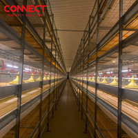 Système d'alimentation automatique pour poulets de chair en cage de type H avec chauffage à l'eau chaude pour une surface de 105m²