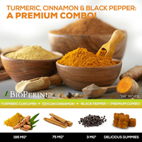 Bonbons gélifiés aux herbes de curcuma, gingembre et cannelle OEM pour adultes - Soutien énergétique et immunitaire