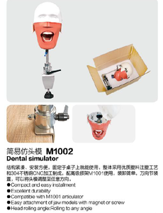 Práctica de entrenamiento de dentista, simulador de maniquí Manual Dental, equipo Dental de cabeza fantasma para clínica universitaria - Product Image 4