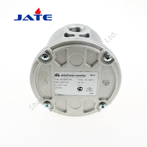 Le filtre à gaz naturel/GPL Giuliani 70631/6B (2") d'Italie convient aux équipements d'énergie thermique tels que les fours et les incinérateurs - Product Image 4