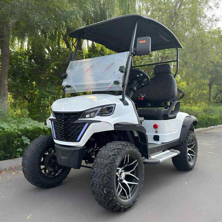 4 Seater Offroad Electric Golf Carts Cheap Prices Buggy Car For Sale