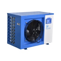 Refroidisseur d'eau à froid Ruitong 220V 890W pour bain de glace, baignoire spa, bassin à fruits de mer, piscine à température constante