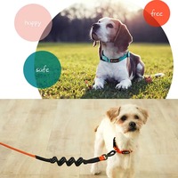 Laisse pour chien personnalisée en néoprène, souple, durable, absorbant les chocs, pour la course et la marche, avec poignée, OEM sur mesure, vente en gros