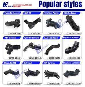 比卢西其他发动机零件进气软管适用于日产本田丰田起亚现代 - Product Image 3