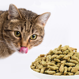 Golosinas y alimentos para mascotas de alta calidad al por mayor, y ODM OEM, crujientes dientes limpios, pollo, atún, hierba gatera, galletas para gatos, aperitivos para perros y gatos - Product Image 2