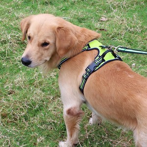 Imbracatura per <span class=keywords><strong>cani</strong></span> all'ingrosso clip anteriore resistente riflettente facile maniglia <span class=keywords><strong>di</strong></span> controllo per <span class=keywords><strong>cani</strong></span> <span class=keywords><strong>di</strong></span> <span class=keywords><strong>taglia</strong></span> grande che camminano - Product Image 6