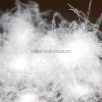 Duvet d'oie blanche
