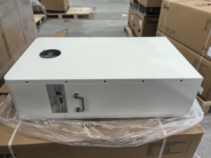 <span class=keywords><strong>Serie</strong></span> de Bajo Voltaje Deye Residential Ess RW-F16 51.2V 314Ah 16Kwh Lifepo4 Max. Paquete de 32 Baterías de Litio <span class=keywords><strong>en</strong></span> <span class=keywords><strong>Paralelo</strong></span> - Product Image 3