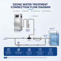 Générateur d'ozone industriel robuste 100g 200g pour le traitement des eaux usées et la purification de l'eau industrielle