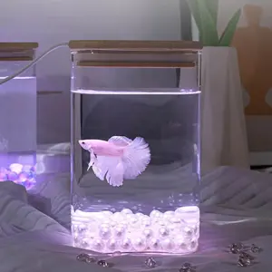 Betta tanque de peixes, pequeno kit para iniciantes, limpeza de tanque de peixes betta, decoração para escritório e casa