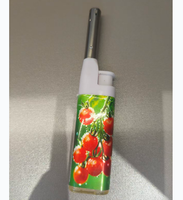 Allumeur électronique à flamme nue court de vente chaude adapté à la cuisine et à l'extérieur facile à transporter allumage sûr
