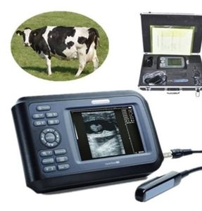 Escáner de ultrasonido veterinario con sonda rectal-IP67 a prueba de agua para uso en granjas de ganado - Product Image 3