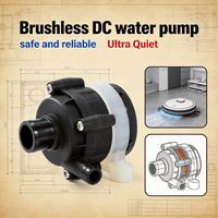Pompe DC Silencieuse 12V/24V pour Lit à Eau et Machine à Glaçons - Faible Bruit, Sans Balais, OEM Personnalisable