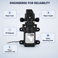 Pompe à eau à diaphragme intelligente 12V DC 72W 6L/Min, auto-amorçante haute pression pour pulvérisateur, camping-car et usage marin