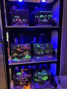 M100 A.S. <span class=keywords><strong>Aquarium</strong></span> en verre ultra-clair moderne Vente chaude 25/30/35/40/45CM Nano Reef Fish Tank Carré écologique pour la cuisine pour - Product Image 6