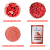 Groothandel 100% Natuurlijke Bulkprijs 5Kg Dozen Vriesdroog Aardbei Gevriesdroogd Fruit