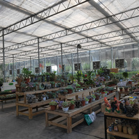 Serre hydroponique Venlo Système de refroidissement trempé Filet d'ombrage Agriculture Serre en verre multi-travée
