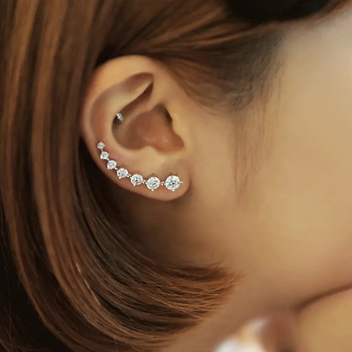 New High Quality Super Shiny Zircon 925 Sterling Silver Earring Jewelry Wholesale Gift Ear row