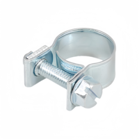 Collier de serrage mini réglable en acier inoxydable galvanisé pour tuyaux et fuites de gaz (vente en gros)