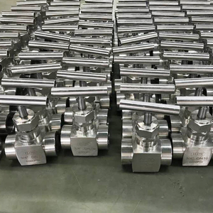 Valvola a Spillo ad Alta Pressione in Acciaio Inox SS304/SS316L per Montaggio su Pannello, 3000PSI 6000PSI 10000PSI, BSP o NPT - Product Image 3