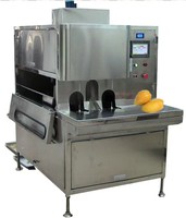 Machine à peler les fruits et légumes - Acier inoxydable 304, haute productivité, éplucheur de mangue, de noix de coco et d'ananas pour usage commercial