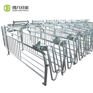 Nuevo Corral de Gestación para Cerdas con Acceso Libre, Construcción de Acero Galvanizado, Diseño Duradero - Product Image 2