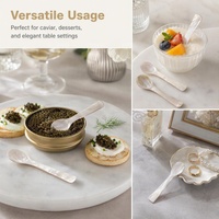 Cuillère personnalisée de luxe en nacre |   Cuillère à caviar en coquille polie miroir |   Pour restaurant, hôtel, mariage, café, dessert, café